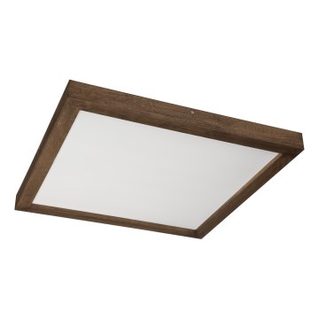 Brilagi - LED Vannas griestu gaisma WOODY FRAME LED/40W/230V 60x60 cm IP44 valrieksts