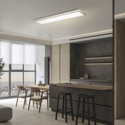 Brilagi - LED vannas istabas griestu gaismeklis FRAME LED/50W/230V 3000/4000/6000K 120x30 cm IP44 sudraba