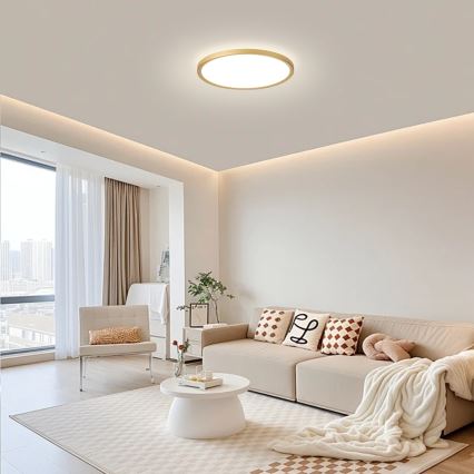 Brilagi - ULTRA PLĀNS LED vannas istabas griestu gaismeklis, 18 W, 230 V, Ø 30 cm, zelta, IP54