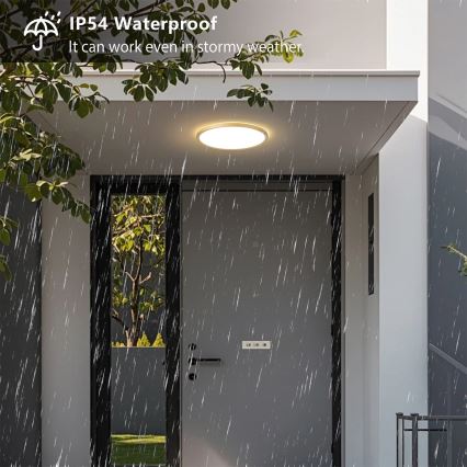 Brilagi - ULTRA PLĀNS LED vannas istabas griestu gaismeklis, 18 W, 230 V, Ø 30 cm, zelta, IP54