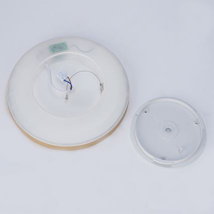 Brilagi - ULTRA PLĀNS LED vannas istabas griestu gaismeklis, 18 W, 230 V, Ø 30 cm, zelta, IP54