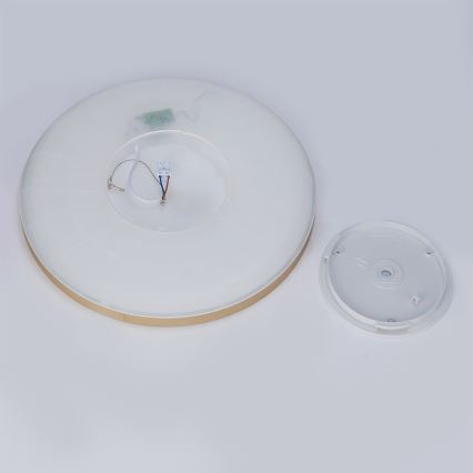 Brilagi - LED griestu lampa vannas istabai ULTRA SLIM LED/24W/230V Ø 42 cm zelta IP54