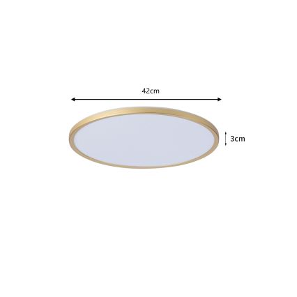 Brilagi - LED griestu lampa vannas istabai ULTRA SLIM LED/24W/230V Ø 42 cm zelta IP54