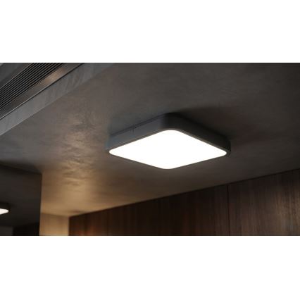 BRILAGI - LED vannas istabas griestu gaismeklis ar sensoru ZENNA LED/24W/230V 34,5x34,5 cm IP44 antracīts + tālvadības pults
