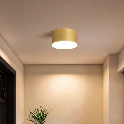 BRILAGI - LED vannas istabas griestu gaismeklis FORIS LED/14W/230V Ø 12 cm zelta IP44
