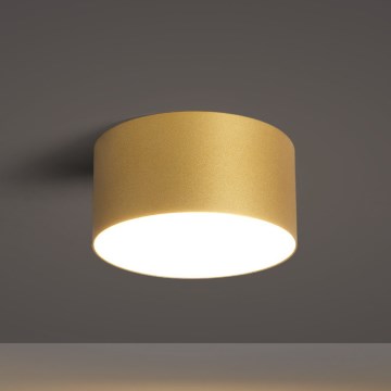 BRILAGI - LED vannas istabas griestu gaismeklis FORIS LED/14W/230V Ø 12 cm zelta IP44