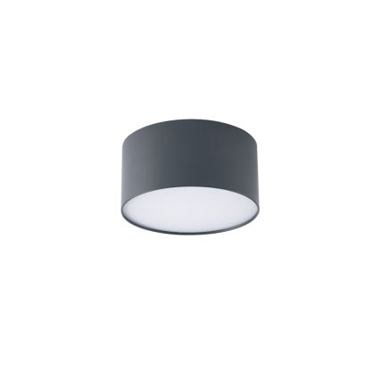 Brilagi - FORIS LED griestu gaismeklis vannas istabai, 14W, 230V, Ø 12 cm, antracīts, IP44