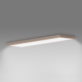 Brilagi - LED vannas istabas griestu gaismeklis FRAME LED/50W/230V 120x30 cm IP44 bēšs