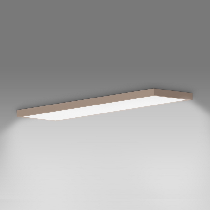 Brilagi - LED vannas istabas griestu gaismeklis FRAME LED/50W/230V 120x30 cm IP44 bēšs