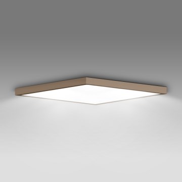 Brilagi - LED vannas istabas griestu gaismeklis FRAME LED/50W/230V 60x60 cm IP44 bēšs
