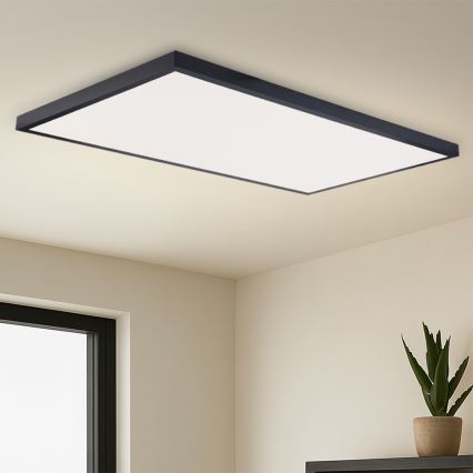 Brilagi - LED vannas istabas griestu gaismeklis FRAME LED/96W/230V 120x60 cm 3000/4000/6000K IP44 melns