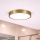 Brilagi - LED vannas istabas griestu gaismeklis POOL LED/24W/230V 3000/4000/5500K pr. 30 cm IP54 misiņš
