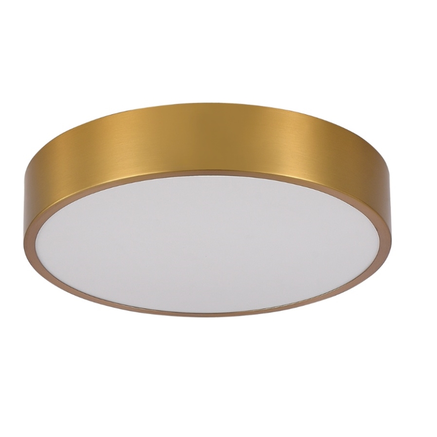 Brilagi - LED griestu gaismeklis vannas istabai POOL LED/36W/230V 3000/4000/5500K Ø 40 cm IP54 bronza
