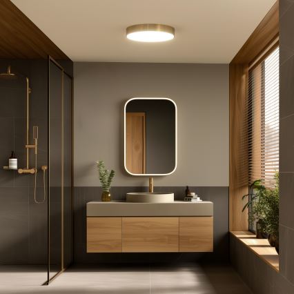 Brilagi - LED griestu gaismeklis vannas istabai POOL LED/36W/230V 3000/4000/5500K Ø 40 cm IP54 bronza