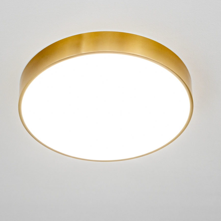 Brilagi - LED griestu gaismeklis vannas istabai POOL LED/36W/230V 3000/4000/5500K Ø 40 cm IP54 bronza