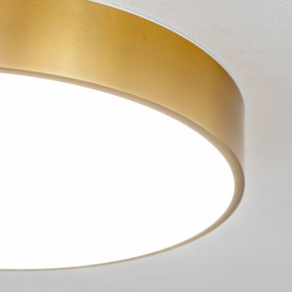 Brilagi - LED griestu gaismeklis vannas istabai POOL LED/36W/230V 3000/4000/5500K Ø 40 cm IP54 bronza