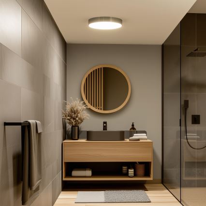 BRILAGI - LED vannasistabas griestu gaismeklis POOL LED/36W/230V 3000/4000/5500K Ø 40 cm IP54 misiņš