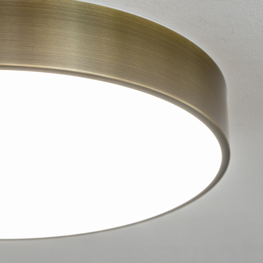 BRILAGI - LED vannasistabas griestu gaismeklis POOL LED/36W/230V 3000/4000/5500K Ø 40 cm IP54 misiņš