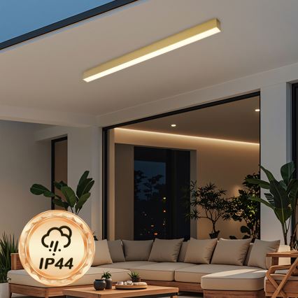 Brilagi - LED vannasistabas griestu lampa SLEEKLINE LED/40W/230V 3000/4500/6000K zelta IP44