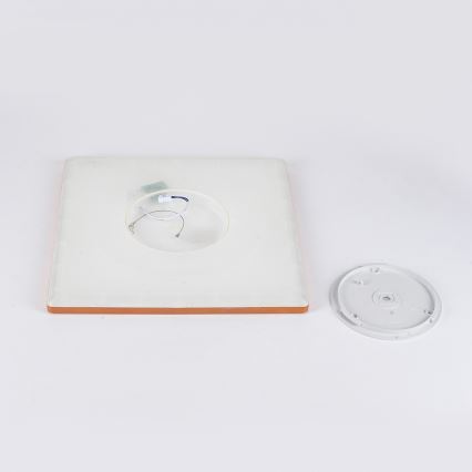 Brilagi - LED vannas istabas griestu gaismeklis ULTRA PLĀNS LED/24W/230V 42x42 cm rozā zelta IP54