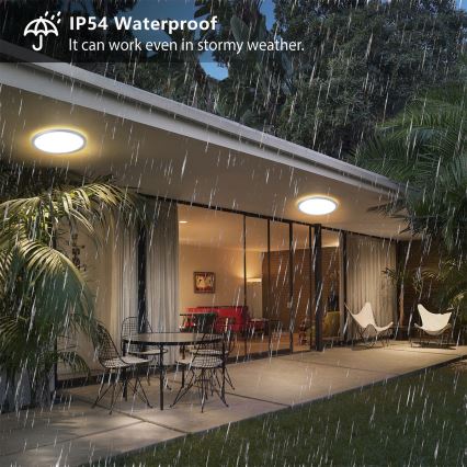 Brilagi - LED vannas istabas griestu lampa ULTRA SLIM LED/12W/230V Ø 22,5 cm sudraba IP54