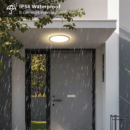 Brilagi - LED vannas istabas griestu lampa ULTRA SLIM LED/18W/230V Ø 30 cm rožu zelta IP54