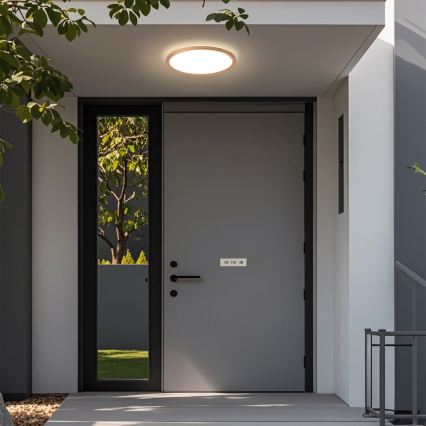 Brilagi - LED vannas istabas griestu lampa ULTRA SLIM LED/18W/230V Ø 30 cm rožu zelta IP54