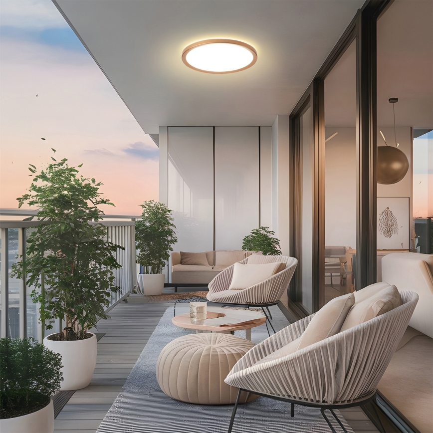 Brilagi - LED vannas istabas griestu lampa ULTRA SLIM LED/18W/230V Ø 30 cm rožu zelta IP54