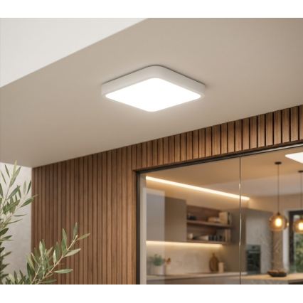 BRILAGI - LED vannas istabas griestu gaismeklis ZENNA LED/18W/230V 28,5x28,5 cm IP44 balts