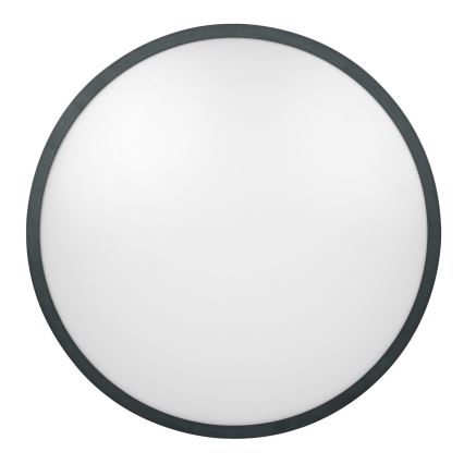 Brilagi - LED vannas istabas griestu gaismeklis ZENNA LED/24W/230V 34,5x34,5 cm IP44 antracīts