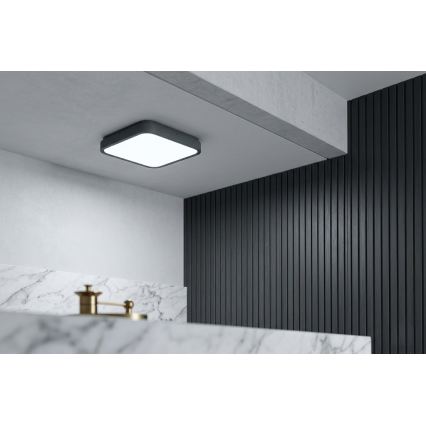 BRILAGI - LED vannas istabas griestu gaismeklis ZENNA LED/24W/230V 34,5x34,5 cm IP44 antracīts