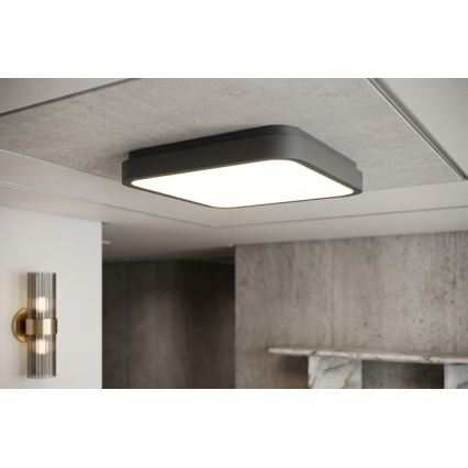 BRILAGI - LED vannas istabas griestu gaismeklis ZENNA LED/24W/230V 34,5x34,5 cm IP44 antracīts