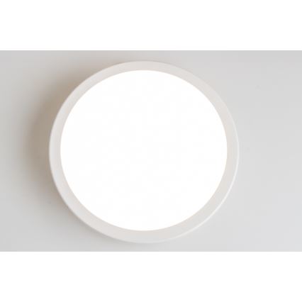 Brilagi - LED Vannas istabas griestu lampa PERA LED/18W/230V d. 22 cm IP65 balta