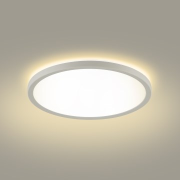 Brilagi - LED Vannas istabas griestu lampa ULTRA SLIM LED/12W/230V d. 22,5 cm balta IP54