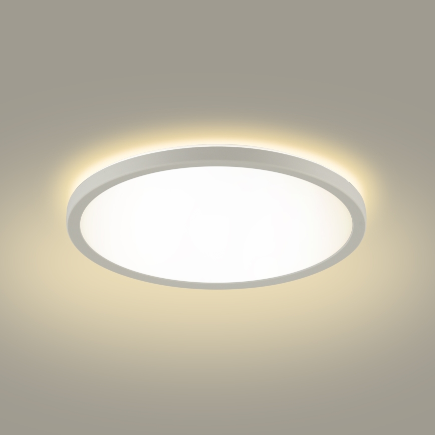 Brilagi - LED Vannas istabas griestu lampa ULTRA SLIM LED/12W/230V d. 22,5 cm balta IP54