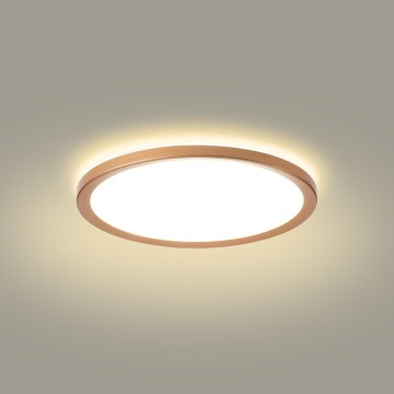 Brilagi - LED vannas istabas griestu lampa ULTRA SLIM LED/18W/230V Ø 30 cm rožu zelta IP54