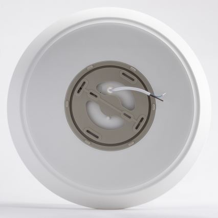 Brilagi - LED Vannas istabas griestu lampa VESTAS LED/28W/230V 3000K IP54
