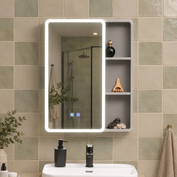 BRILAGI - LED vannas istabas spoguļa skapītis ar apgaismojumu AVOLA SINGLE 55x70 cm