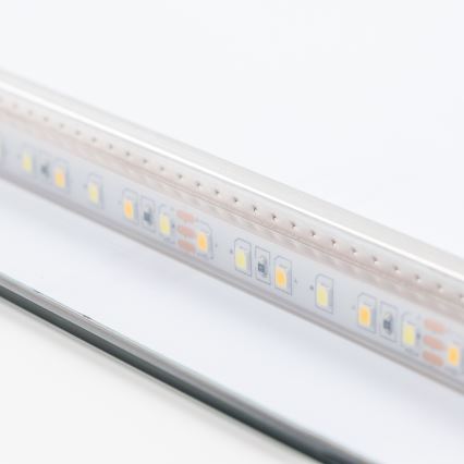 Brilagi - LED vannas istabas spogulis COMO LED/24W/230V 60x60 cm IP44 CRI 90 dimējams + CCT