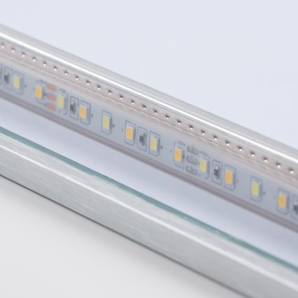 Brilagi - LED vannasistabas spogulis DESIO LED/20W/230V 40x60 cm sudraba IP44 CRI 90 dimmējams + CCT