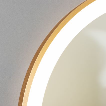 Brilagi - LED vannas istabas spogulis ERBA LED/25W/230V 50x80 cm zelta IP44 CRI 90 ar regulējamu spilgtumu + CCT
