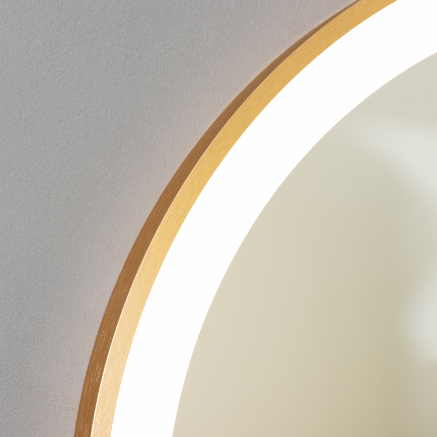 Brilagi - LED vannas istabas spogulis ERBA LED/25W/230V 50x80 cm zelta IP44 CRI 90 ar regulējamu spilgtumu + CCT