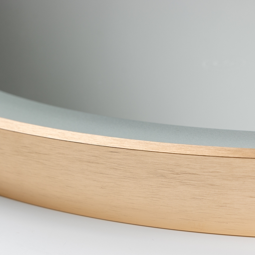 Brilagi - LED vannas istabas spogulis ERBA LED/25W/230V 50x80 cm zelta IP44 CRI 90 ar regulējamu spilgtumu + CCT