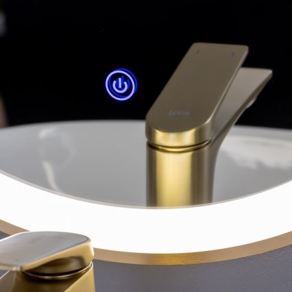 Brilagi - LED vannas istabas spogulis ERBA LED/25W/230V 50x80 cm zelta IP44 CRI 90 ar regulējamu spilgtumu + CCT