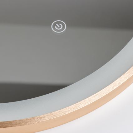 Brilagi - LED vannas istabas spogulis ERBA LED/25W/230V 50x80 cm zelta IP44 CRI 90 ar regulējamu spilgtumu + CCT