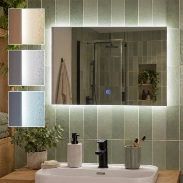 BRILAGI - LED vannas istabas spogulis LUCE LED/20W/230V 40x60 cm IP44 CRI 90 ar spilgtuma regulāciju + CCT