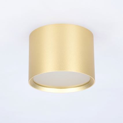 BRILAGI - LED vannas istabas punktveida gaismeklis SMOOTH 1xGX53/15W/230V 60x82 mm zelta krāsā IP54
