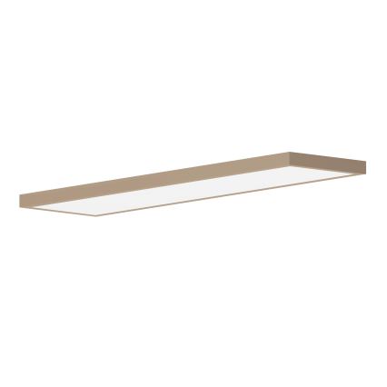 Brilagi - LED vannas istabas griestu gaismeklis FRAME LED/50W/230V 120x30 cm IP44 bēšs