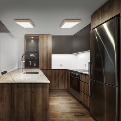 Brilagi - LED vannas istabas griestu gaismeklis FRAME LED/50W/230V 120x30 cm IP44 bēšs