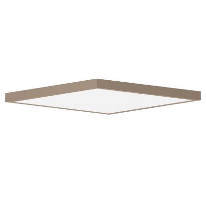 Brilagi - LED vannas istabas griestu gaismeklis FRAME LED/50W/230V 60x60 cm IP44 bēšs